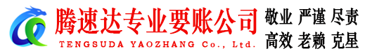 蔡甸收账公司